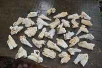 Natural Drusy Quartz Coated Pseudomorph Crystals  x 70 From Alberts Mountain, Lesotho - Toprock Gemstones and Minerals 