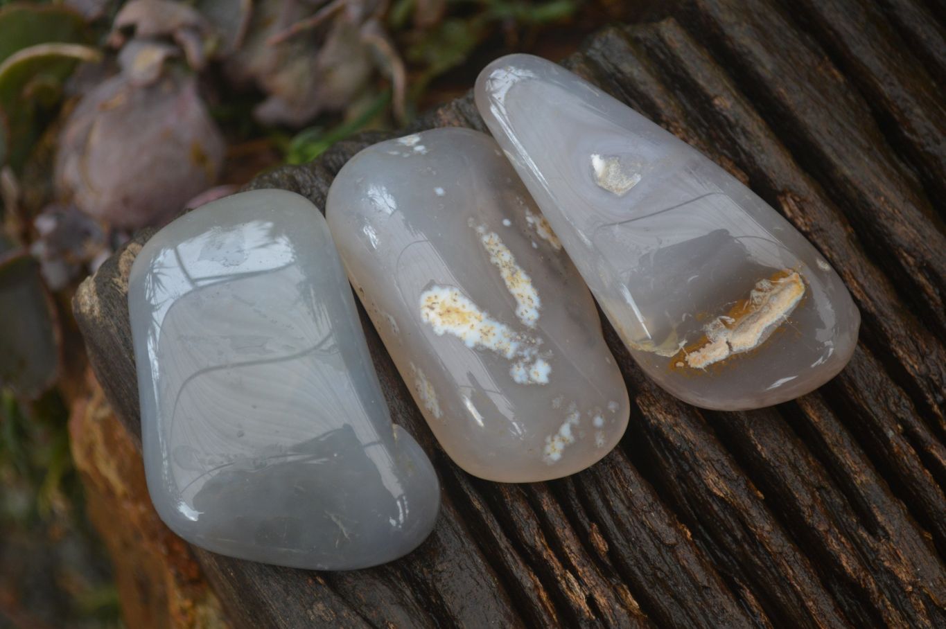 Polished Agate Chalcedony Tumble Stones x 20 From Madagascar - Toprock Gemstones and Minerals 