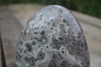 Polished Extra Large Flower Chevron Amethyst Display Piece x 1 From Madagascar - Toprock Gemstones and Minerals 