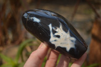 Polished Mixed Agate Standing Free Forms  x 4 From West Coast, Madagascar