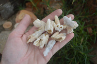 Natural Drusy Quartz Coated Pseudomorph Crystals  x 70 From Alberts Mountain, Lesotho - Toprock Gemstones and Minerals 