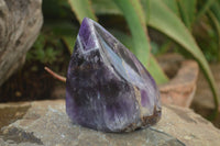 Polished Chevron Amethyst Points x 2 From Zambia