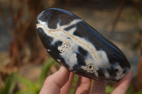 Polished Mixed Agate Standing Free Forms  x 4 From West Coast, Madagascar