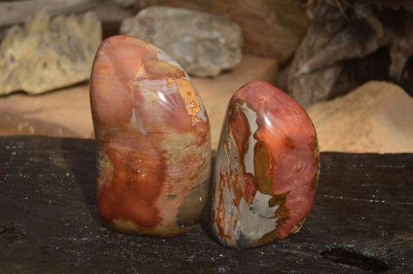 Polished Polychrome Jasper Standing Free Forms  x 2 From Marovato, Madagascar - Toprock Gemstones and Minerals 