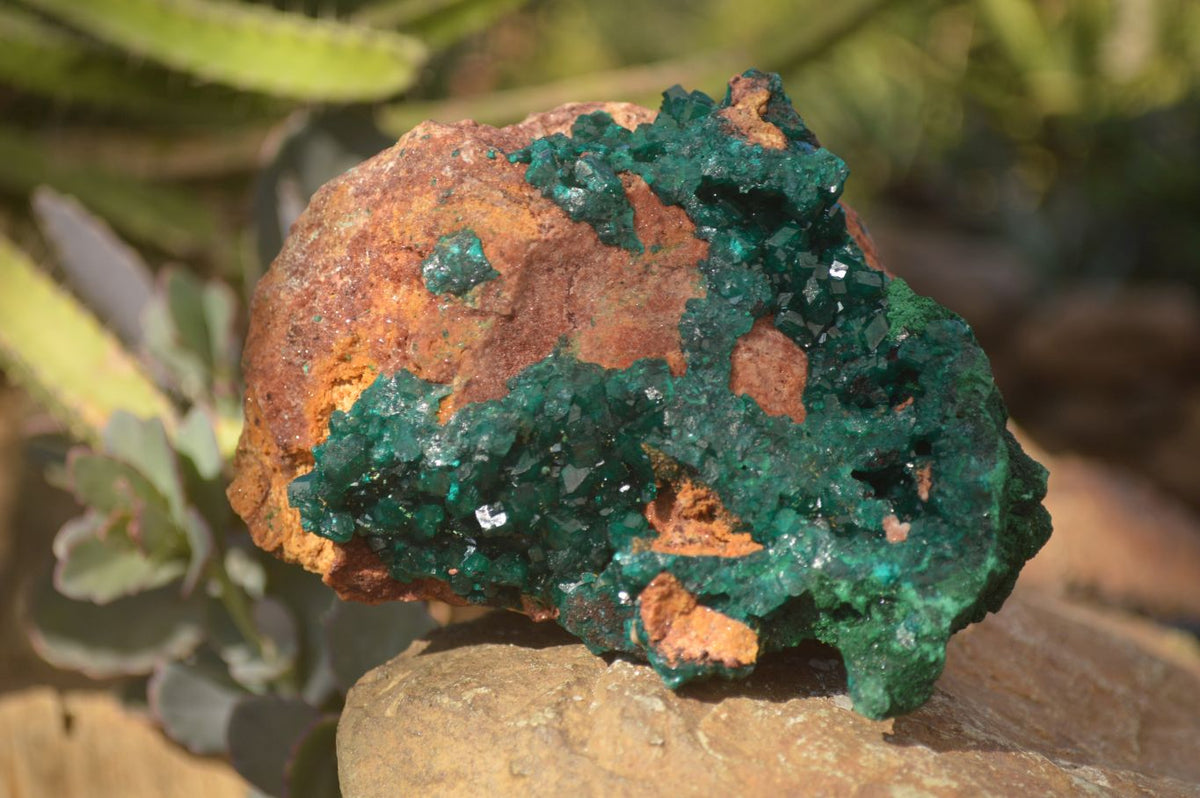 Natural Large Emerald Dioptase Crystal Specimen With Malachite On Red & Yellow Dolomite Matrix x 1 From Likasi, Congo - Toprock Gemstones and Minerals 