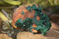 Natural Large Emerald Dioptase Crystal Specimen With Malachite On Red & Yellow Dolomite Matrix x 1 From Likasi, Congo