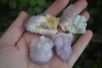Natural Small Mixed Spirit Quartz Clusters  x 35 From Boekenhouthoek, South Africa - Toprock Gemstones and Minerals 