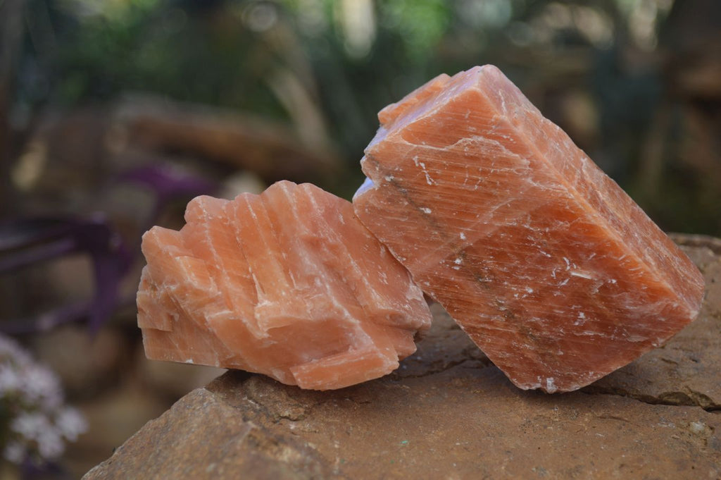 Natural New Sunset Orange Calcite Specimens  x 12 From Spitzkop, Namibia - Toprock Gemstones and Minerals 