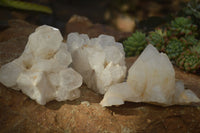 Natural "Cathedral Window" Candle Quartz Formations  x 3 From Madagascar - Toprock Gemstones and Minerals 