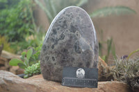 Polished Extra Large Flower Chevron Amethyst Display Piece x 1 From Madagascar - Toprock Gemstones and Minerals 