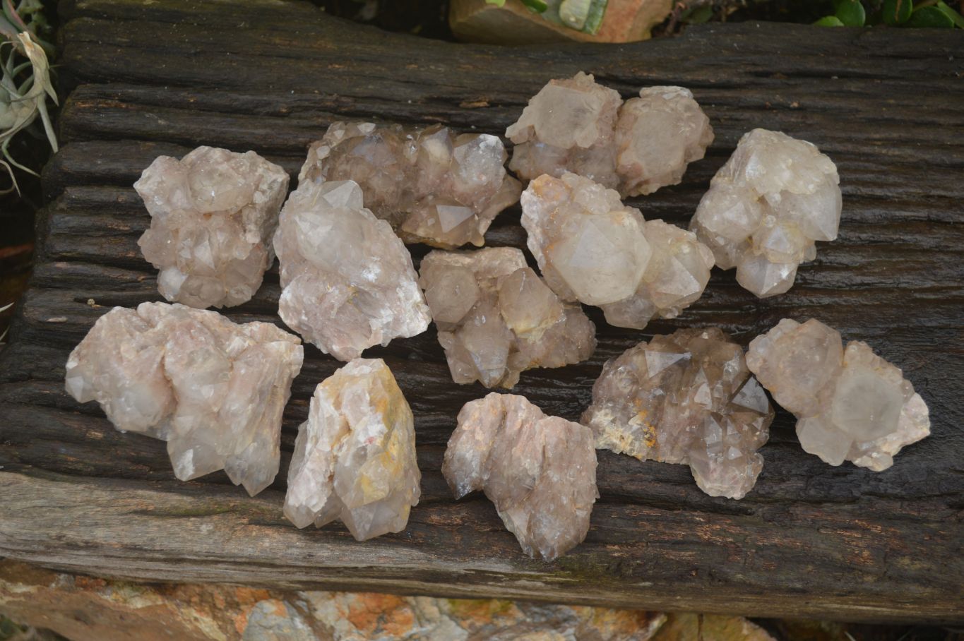 Natural Smokey Quartz Clusters x 12 From Congo - Toprock Gemstones and Minerals 