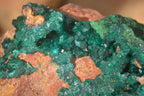 Natural Large Emerald Dioptase Crystal Specimen With Malachite On Red & Yellow Dolomite Matrix x 1 From Likasi, Congo - Toprock Gemstones and Minerals 