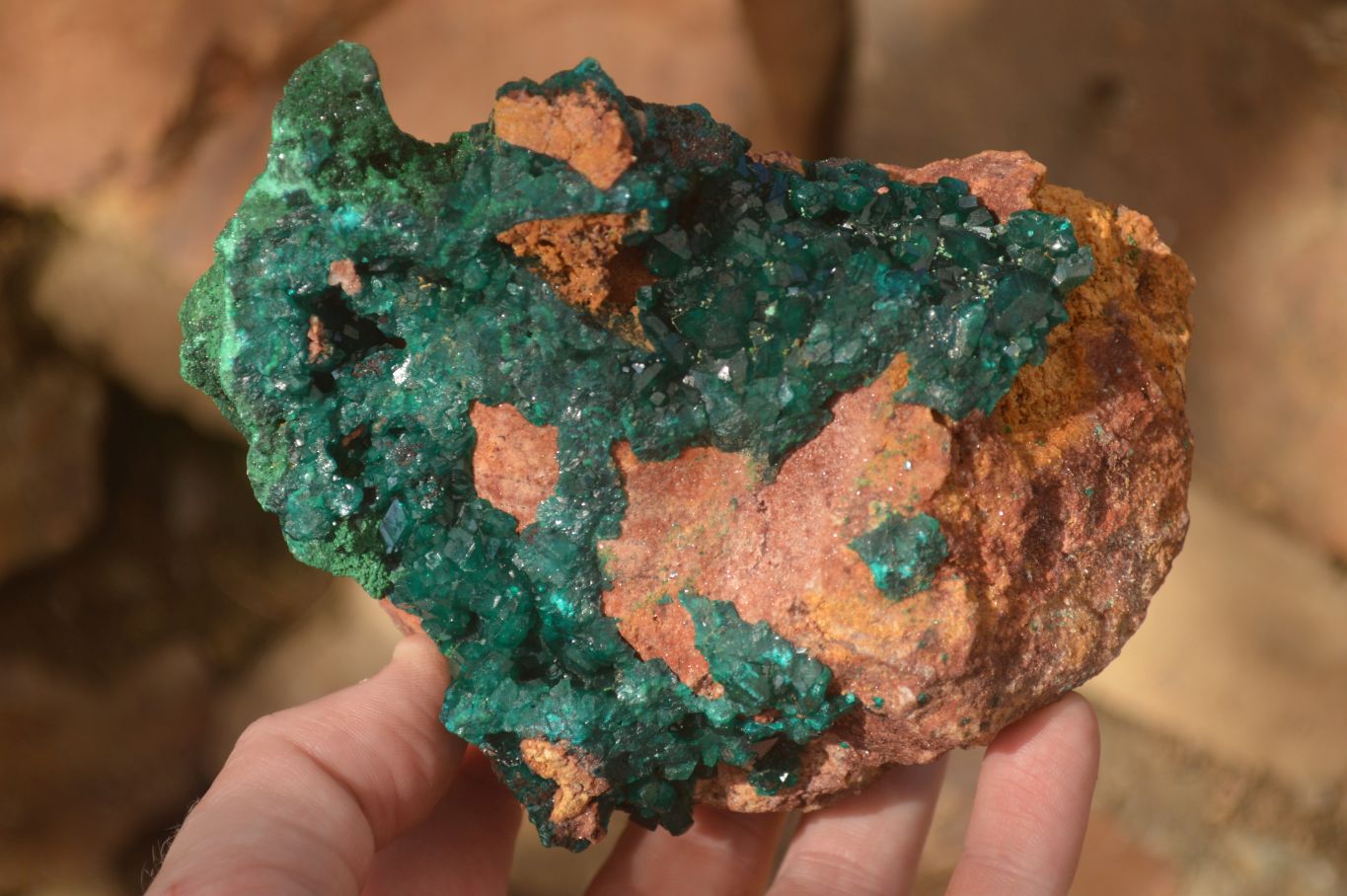 Natural Large Emerald Dioptase Crystal Specimen With Malachite On Red & Yellow Dolomite Matrix x 1 From Likasi, Congo - Toprock Gemstones and Minerals 