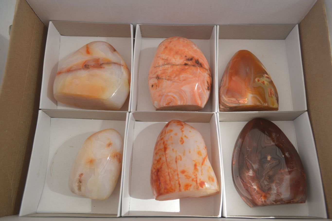 Polished Carnelian Agate Standing Free Forms  x 6 From Madagascar - Toprock Gemstones and Minerals 