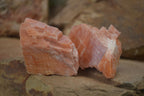 Natural New Sunset Orange Calcite Specimens  x 24 From Spitzkop, Namibia - Toprock Gemstones and Minerals 