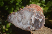 Polished Red Sache River Agate Nodules x 4 From Sashe River, Zimbabwe - Toprock Gemstones and Minerals 