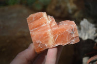 Natural New Sunset Orange Calcite Specimens  x 12 From Spitzkop, Namibia - Toprock Gemstones and Minerals 