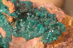 Natural Large Emerald Dioptase Crystal Specimen With Malachite On Red & Yellow Dolomite Matrix x 1 From Likasi, Congo - Toprock Gemstones and Minerals 