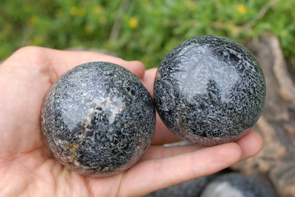 Polished Black Tourmaline In Matrix Spheres x 6 From Madagascar - TopRock