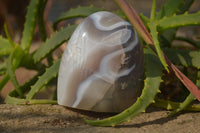 Polished Mixed Agate Standing Free Forms  x 4 From West Coast, Madagascar