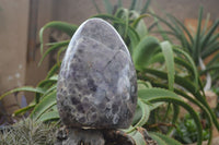 Polished Extra Large Flower Chevron Amethyst Display Piece x 1 From Madagascar - Toprock Gemstones and Minerals 