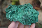 Natural Chatoyant Silky Malachite Specimens  x 2 From Kasompe, Congo - Toprock Gemstones and Minerals 