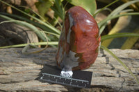 Polished Polychrome Jasper Standing Free Forms  x 2 From Marovato, Madagascar - Toprock Gemstones and Minerals 