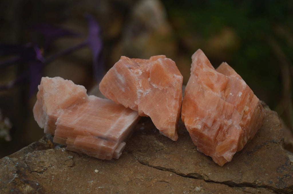 Natural New Sunset Orange Calcite Specimens  x 24 From Spitzkop, Namibia - Toprock Gemstones and Minerals 