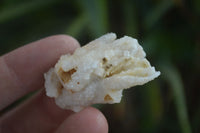 Natural Drusy Quartz Coated Pseudomorph Crystals  x 70 From Alberts Mountain, Lesotho - Toprock Gemstones and Minerals 