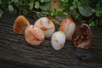 Polished Carnelian Agate Standing Free Forms  x 6 From Madagascar - Toprock Gemstones and Minerals 
