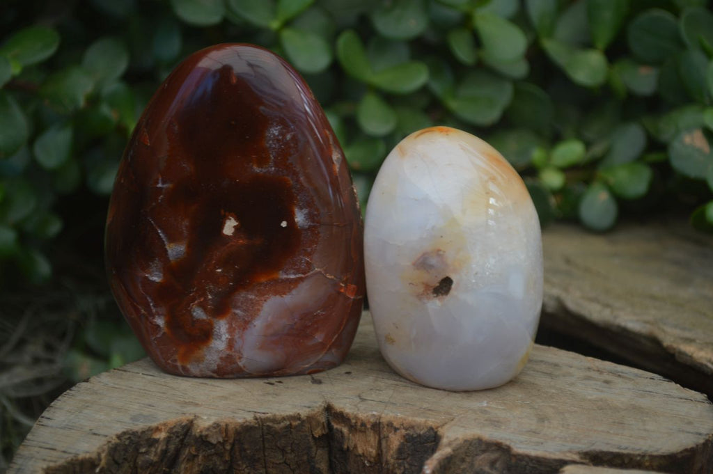 Polished Carnelian Agate Standing Free Forms  x 6 From Madagascar - Toprock Gemstones and Minerals 