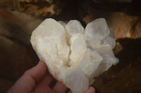 Natural "Cathedral Window" Candle Quartz Formations  x 3 From Madagascar - Toprock Gemstones and Minerals 