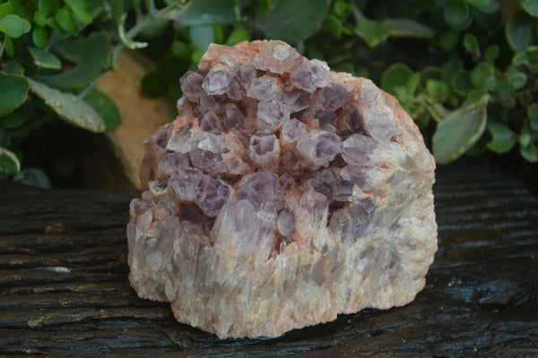 Natural Large Sugar Amethyst Cluster  x 1 From Zambia