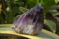 Polished Chevron Amethyst Points x 2 From Zambia