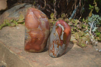 Polished Polychrome Jasper Standing Free Forms  x 2 From Marovato, Madagascar - Toprock Gemstones and Minerals 