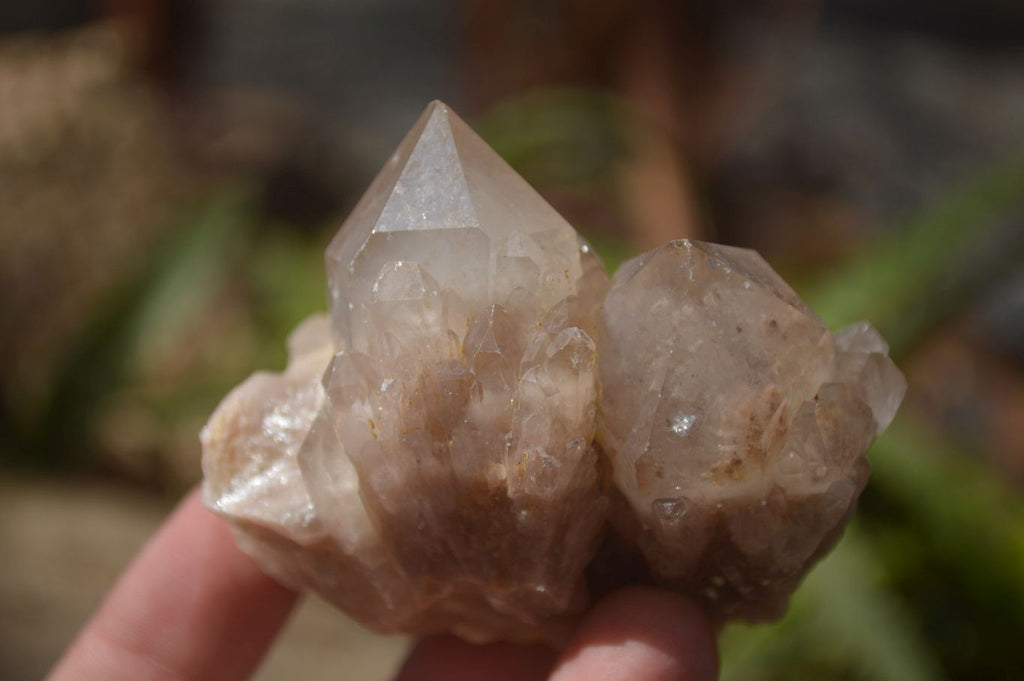 Natural Smokey Quartz Clusters x 12 From Congo - Toprock Gemstones and Minerals 