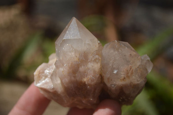 Natural Smokey Quartz Clusters x 12 From Congo - Toprock Gemstones and Minerals 