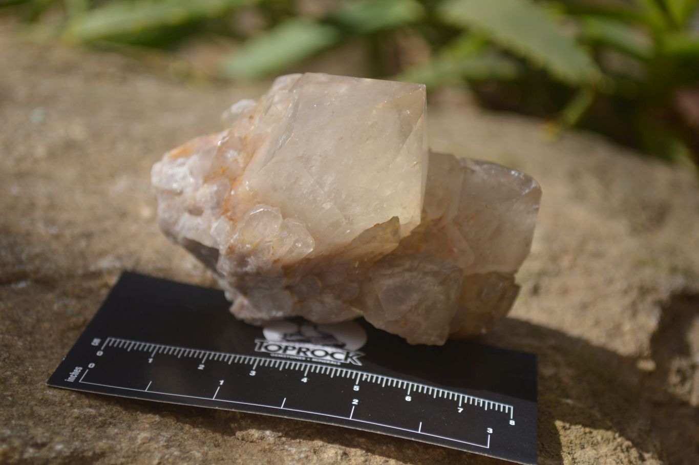Natural Smokey Quartz Clusters x 12 From Congo - Toprock Gemstones and Minerals 