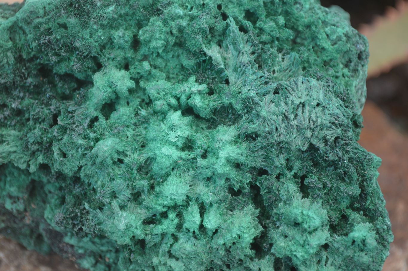 Natural Chatoyant Silky Malachite Specimens  x 2 From Kasompe, Congo - Toprock Gemstones and Minerals 