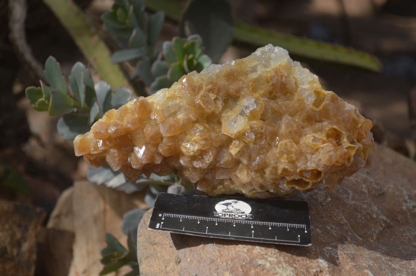Natural Limonite Quartz Clusters x 2 From Solwezi, Zambia - Toprock Gemstones and Minerals 
