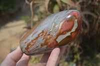Polished Polychrome Jasper Standing Free Forms  x 2 From Marovato, Madagascar - Toprock Gemstones and Minerals 