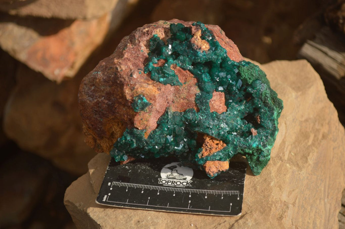 Natural Large Emerald Dioptase Crystal Specimen With Malachite On Red & Yellow Dolomite Matrix x 1 From Likasi, Congo - Toprock Gemstones and Minerals 