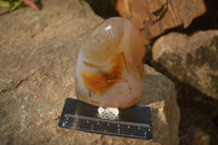 Polished Mixed Agate Standing Free Forms  x 4 From West Coast, Madagascar