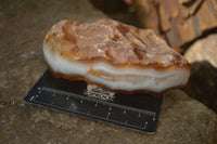 Polished River Agate Nodules  x 6 From Zimbabwe - Toprock Gemstones and Minerals 