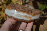 Polished River Agate Nodules  x 6 From Zimbabwe - Toprock Gemstones and Minerals 