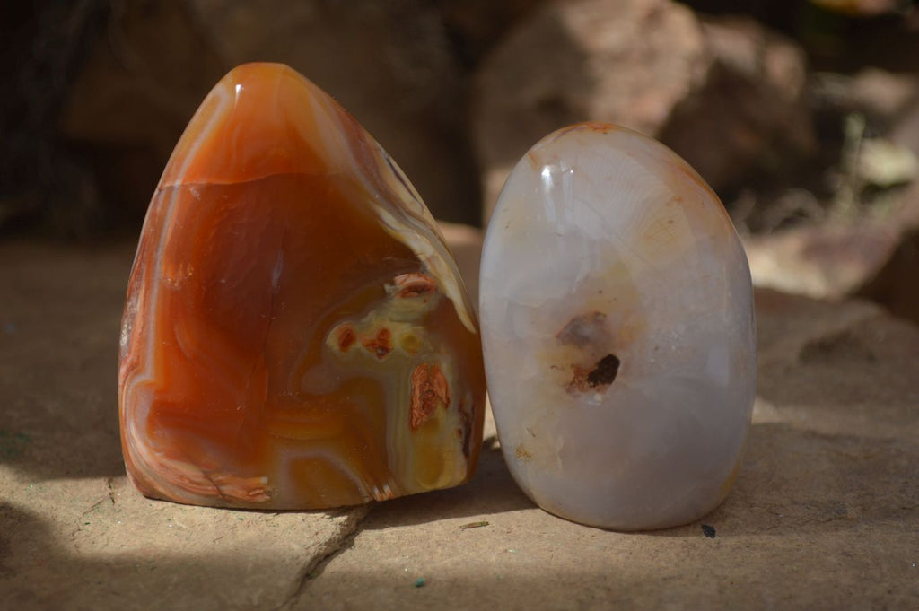 Polished Carnelian Agate Standing Free Forms  x 6 From Madagascar - Toprock Gemstones and Minerals 