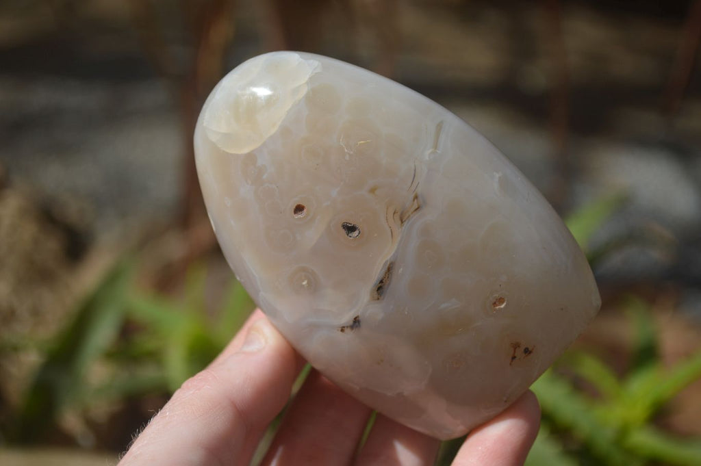 Polished Mixed Agate Standing Free Forms x 6 From Madagascar - Toprock Gemstones and Minerals 
