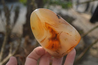 Polished Mixed Agate Standing Free Forms  x 4 From West Coast, Madagascar