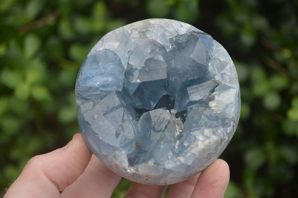 Polished Blue Celestite Crystal Centred Spheres  x 2 From Madagascar