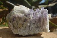 Natural Sugar Amethyst Quartz Cluster  x 1 From Zambia - Toprock Gemstones and Minerals 